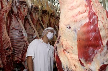 Rondônia ocupa o 1º lugar da região Norte em exportação de carne bovina
