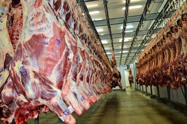 Exportações de carne bovina crescem e ultrapassam 960 milhões de dólares em RO