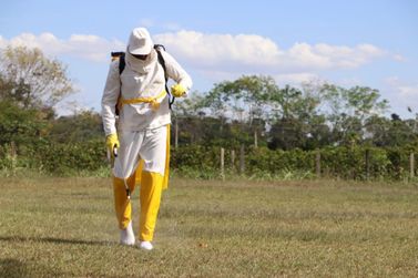 Decreto regulamenta lei estadual de agrot&oacute;xicos em Rond&ocirc;nia