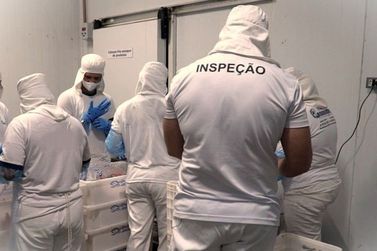 Idaron abre processo seletivo para contrata&ccedil;&atilde;o tempor&aacute;ria de m&eacute;dico veterin&aacute;rio