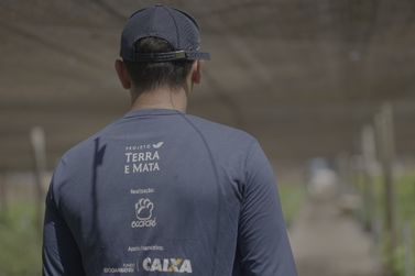 Projeto Terra e Mata destaca impacto no Vale do Guapor&eacute; em s&eacute;rie de v&iacute;deos