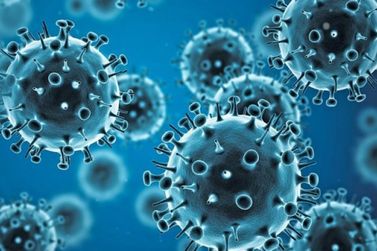 S&atilde;o Miguel do Guapor&eacute; e regi&atilde;o enfrenta alta de viroses e surto de chikungunya em 2026