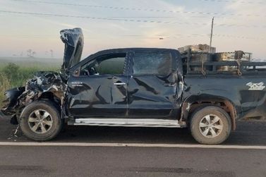 Motorista de S&atilde;o Miguel escapa ileso ap&oacute;s colis&atilde;o com vaca na BR-429