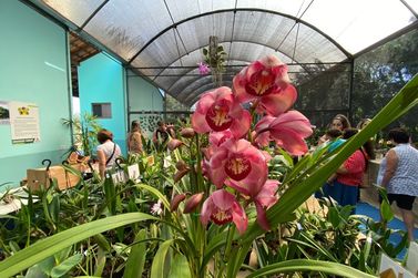 Prefeitura de Sumaré promove 15ª Mostra e Venda de Orquídeas