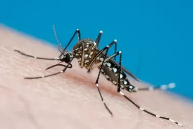 Sumaré divulga o primeiro morador morto pela dengue