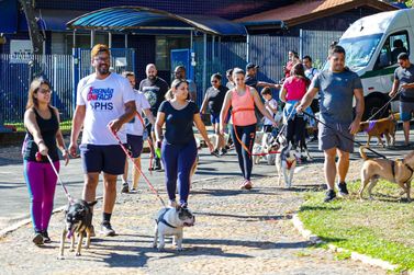 Paulínia promove 1ª Cãominhada de 2025 no parque Zeca Malavazzi