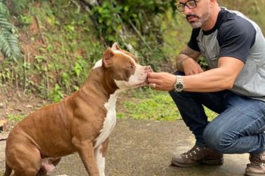 Ataque fatal de pitbull em Hortolândia reforça importância da adoção responsável