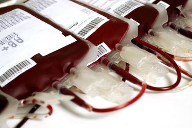 Campanha Sangue Corinthiano mobiliza doadores em Sumar&eacute; e Campinas durante o m&ecirc;s de julho