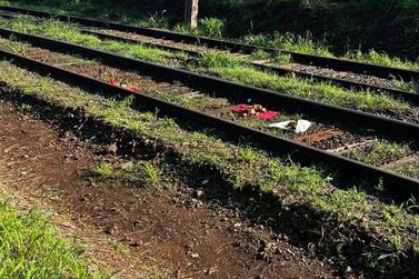 Animais mortos s&atilde;o encontrados pr&oacute;ximos &agrave; linha do trem na regi&atilde;o da Rodovi&aacute;ria de Sumar&eacute;