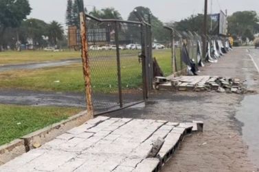 Chuva e ventania provocam quedas de &aacute;rvores e danos na regi&atilde;o de Sumar&eacute;