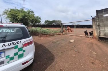 Madeireira de Sumar&eacute; &eacute; multada em R$ 105 mil ap&oacute;s fiscaliza&ccedil;&atilde;o encontrar p&aacute;tio vazio