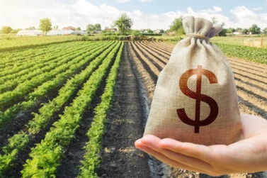 Governo lan&ccedil;a Desenrola Rural para renegociar d&iacute;vidas da agricultura familiar