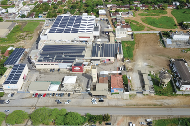 Pan Cristal consolida crescimento em 2025 e se prepara para novos desafios