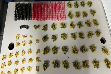 Pol&iacute;cia Militar prende dois por tr&aacute;fico e apreende drogas em Surubim