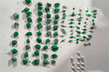 Homem &eacute; conduzido &agrave; delegacia com maconha, coca&iacute;na e crack em Surubim