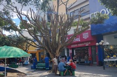 MPPE investiga suposto crime ambiental e dano ao patrim&ocirc;nio p&uacute;blico em Surubim