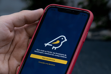 Aplicativo Pardal permite denunciar irregularidades na propaganda eleitoral pelo celular