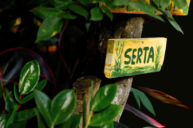 Serta abre vagas para fisioterapeuta, psic&oacute;logo e cinegrafista no Agreste Setentrional