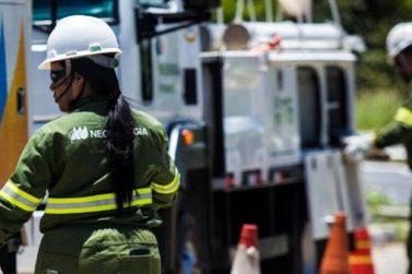 Neoenergia refor&ccedil;a opera&ccedil;&atilde;o para garantir energia durante as elei&ccedil;&otilde;es em Pernambuco