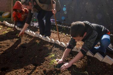 Alunos colocam a m&atilde;o na terra em oficina de horta comunit&aacute;ria em escola de Toledo