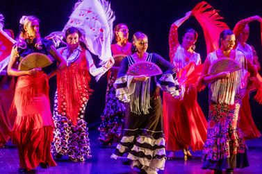 11&ordf; edi&ccedil;&atilde;o do Toledo em Dan&ccedil;a come&ccedil;a nesta sexta-feira com oficinas e apresenta&ccedil;&otilde;es