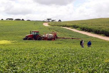 Exporta&ccedil;&otilde;es do complexo soja crescem 8% e impulsionam agroneg&oacute;cio paranaense