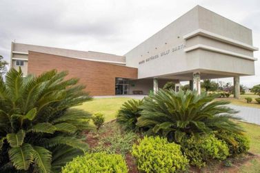 Exposi&ccedil;&atilde;o imersiva sobre consci&ecirc;ncia ambiental ser&aacute; aberta no Museu Hist&oacute;rico Willy Barth