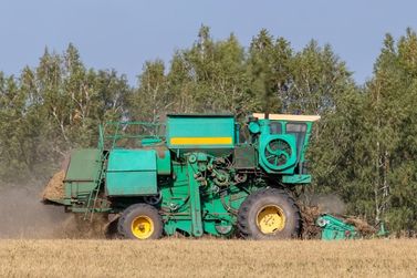 Confira a cota&ccedil;&atilde;o da soja, do milho e do trigo para esta quarta-feira no Oeste do Paran&aacute;
