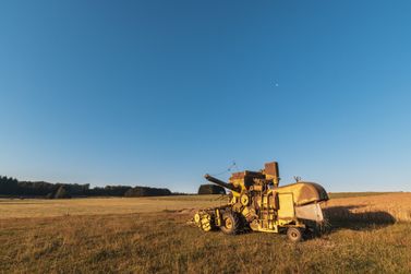Cota&ccedil;&atilde;o dos gr&atilde;os: confira os pre&ccedil;os do mercado rural nesta quinta-feira