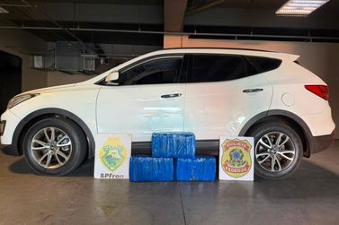 PF e PM apreendem quase 50 quilos de maconha durante monitoramento no Oeste