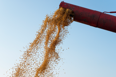 Principais produtos do mercado agr&iacute;cola possuem novas cota&ccedil;&otilde;es nesta ter&ccedil;a-feira