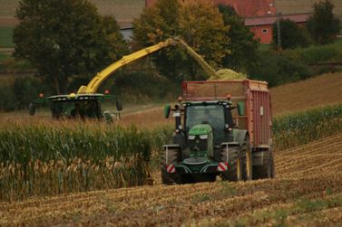 Veja os valores dos principais produtos do mercado agr&iacute;cola nesta quarta-feira