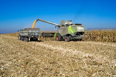 Cota&ccedil;&atilde;o do dia traz valores dos principais produtos do mercado agr&iacute;cola