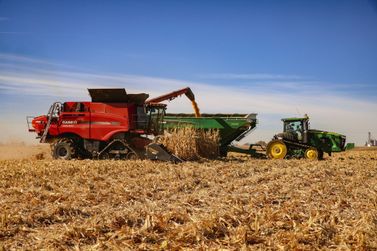 Mercado agr&iacute;cola come&ccedil;a a semana com novas cota&ccedil;&otilde;es de gr&atilde;os