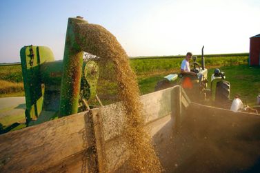 Mercado agr&iacute;cola atualiza as cota&ccedil;&otilde;es do dia dos produtos que movimentam o Oeste