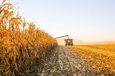 Mercado agr&iacute;cola inicia semana com novas cota&ccedil;&otilde;es para milho, soja e trigo
