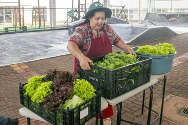 Produtores vendem primeira colheita de hortali&ccedil;as do Horta Agrocidad&atilde;o em Toledo