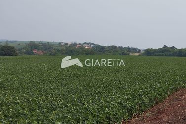S&iacute;tio &agrave; venda - 24500m&sup2; - DOIS IRM&Atilde;OS