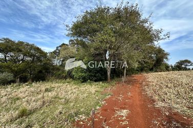 Ch&aacute;cara &agrave; venda - 49040m&sup2; - OURO PRETO