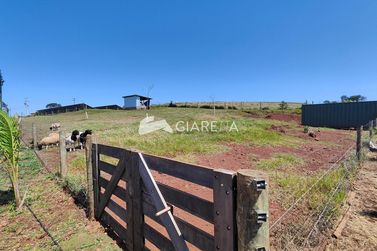 Ch&aacute;cara &agrave; venda - 20000m&sup2; - QUATRO PONTES