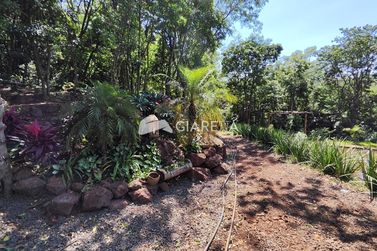 Ch&aacute;cara &agrave; venda - 20000m&sup2; - QUATRO PONTES