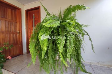 S&iacute;tio &agrave; venda - 180m&sup2; - DEZ DE MAIO