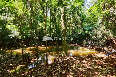 Ch&aacute;cara &agrave; venda - 20000m&sup2; - QUATRO PONTES