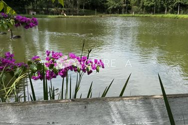 Ch&aacute;cara para alugar - 194m&sup2; - ZONA RURAL