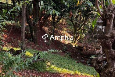 Terreno &agrave; venda - 500m&sup2; - Ip&ecirc;