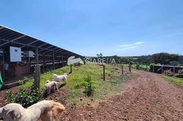 Ch&aacute;cara &agrave; venda - 20000m&sup2; - QUATRO PONTES