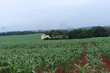 Ch&aacute;cara &agrave; venda - 20166m&sup2; - ZONA RURAL