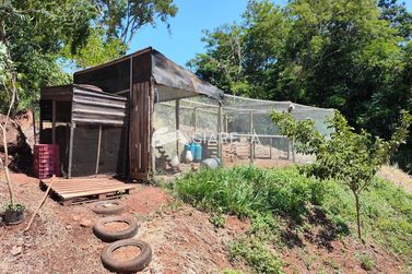 Ch&aacute;cara &agrave; venda - 20000m&sup2; - QUATRO PONTES