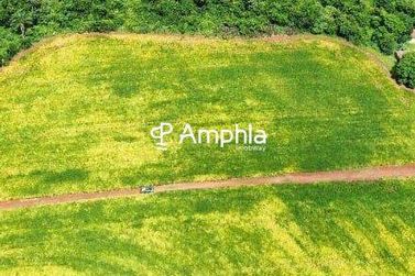 Ch&aacute;cara &agrave; venda - 5000m&sup2; - Interior