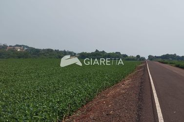 S&iacute;tio &agrave; venda - 24500m&sup2; - DOIS IRM&Atilde;OS